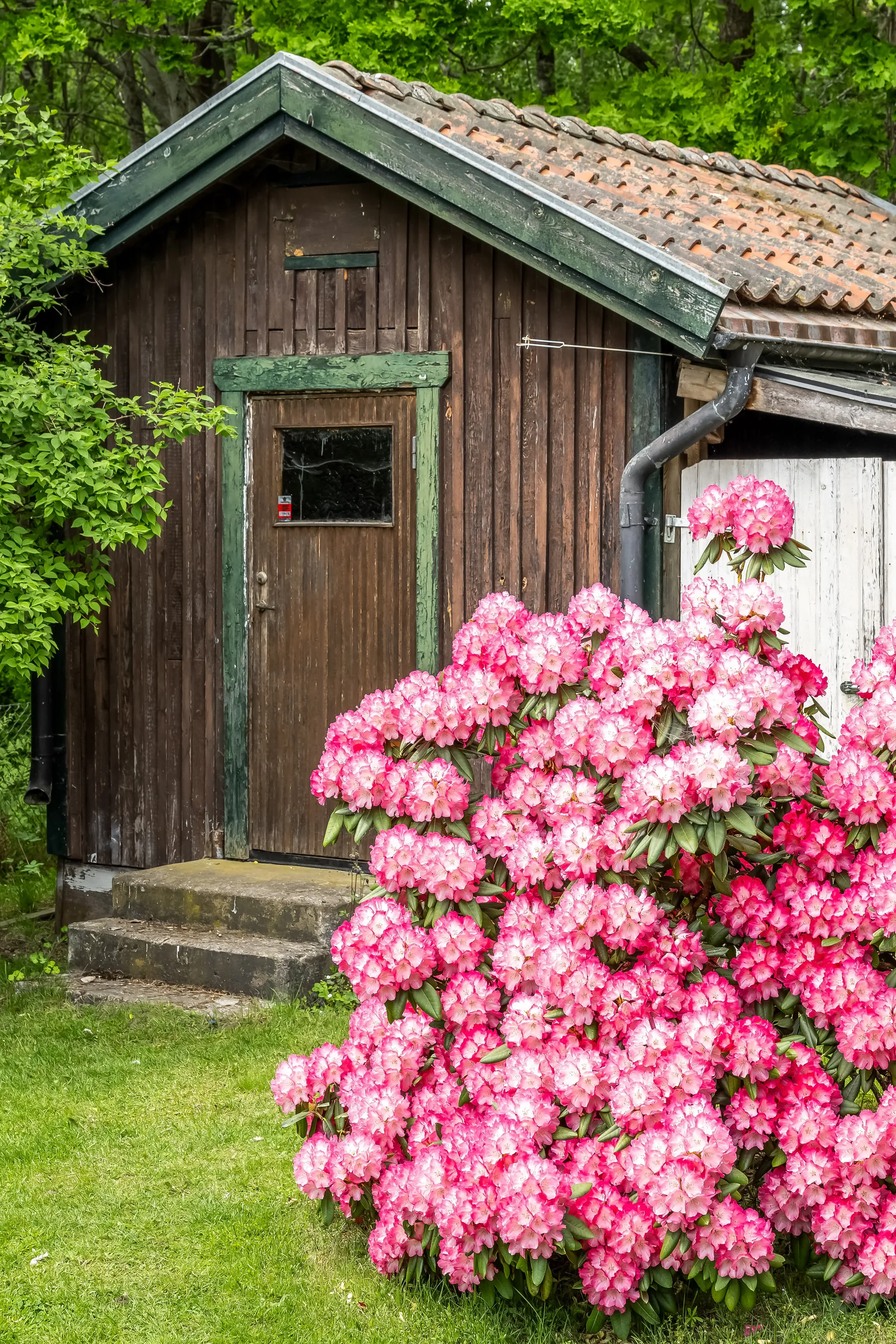 Villa, Hillerstad Granlund 5, Hillerstad, Norrköping