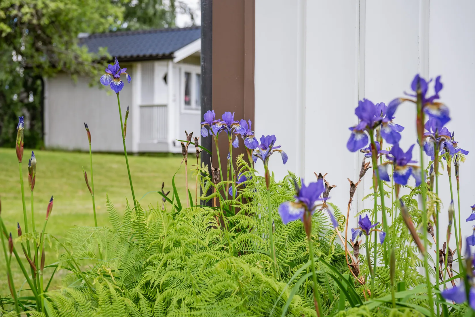 Villa, Berggårdsvägen 20, Torsby Centrum, Torsby