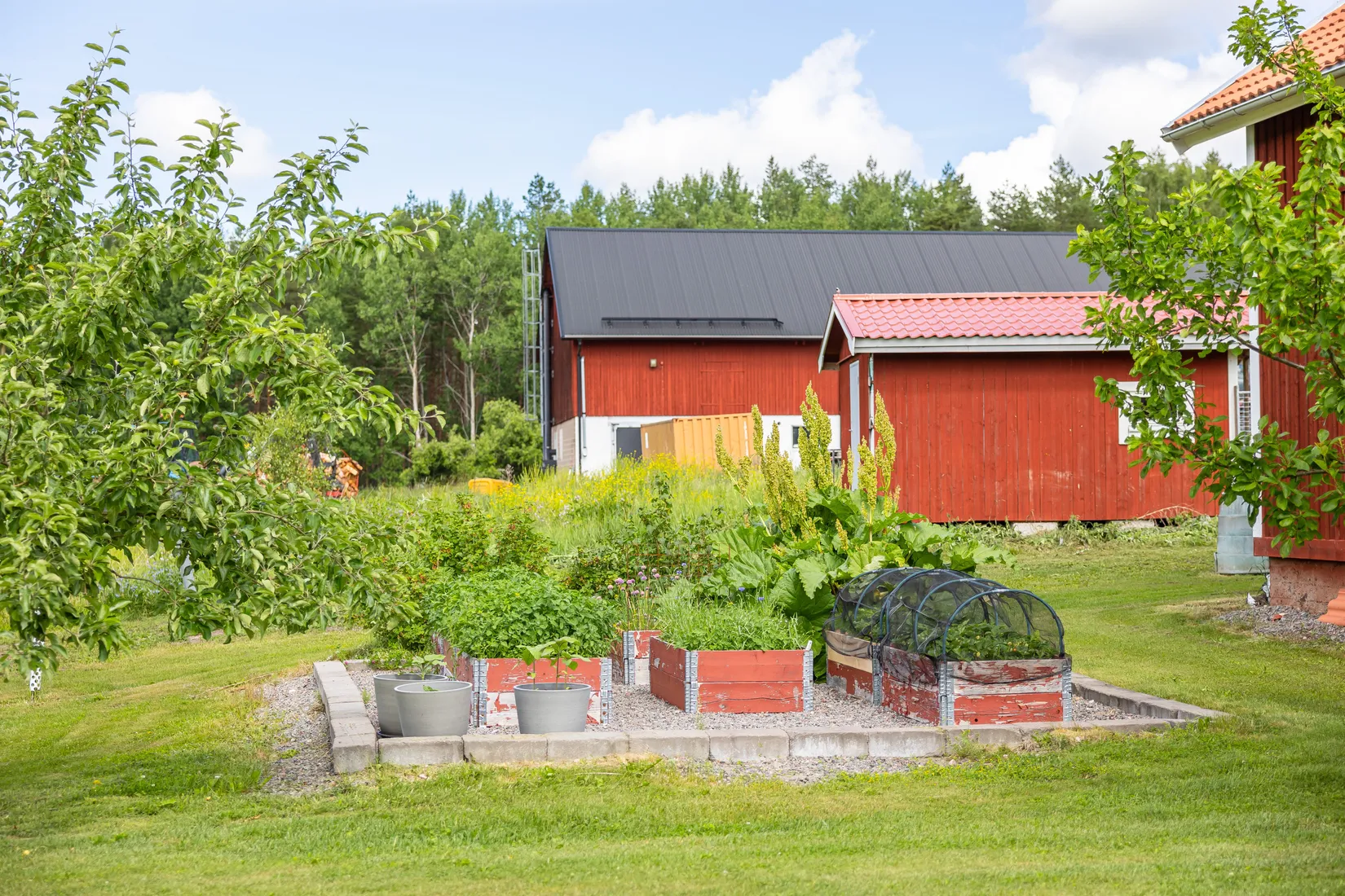 Gård/Skog, Stynsboskogen 17, Östhammar