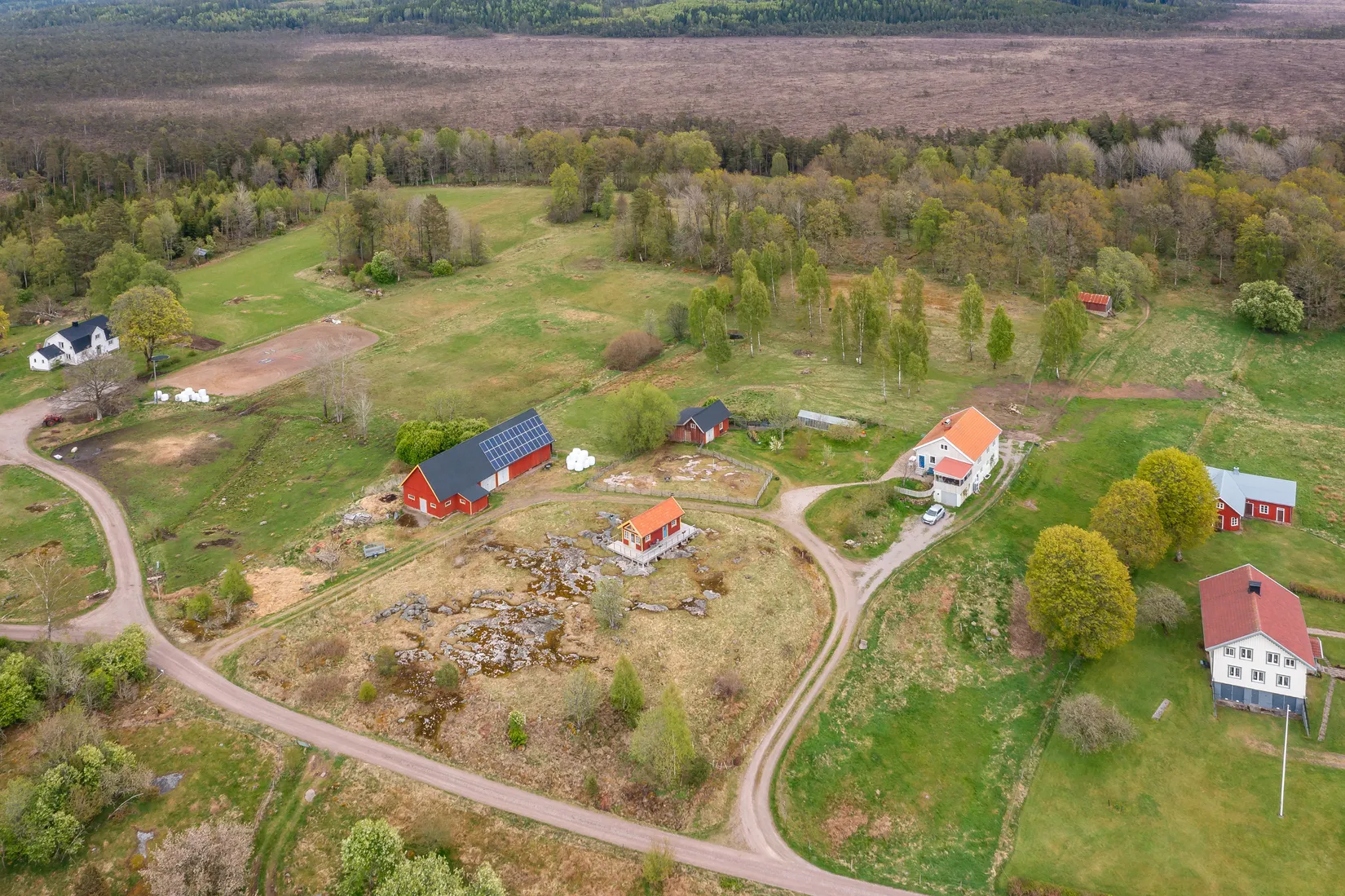 Gård/Skog, Klägghult 2, Kalv, Svenljunga