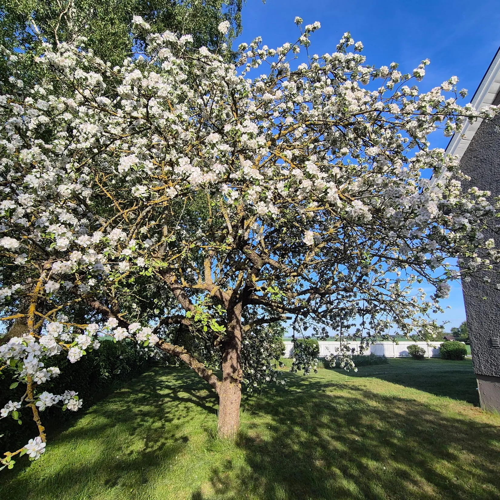 Villa, Gottlösavägen 18, Normlösa, Mjölby