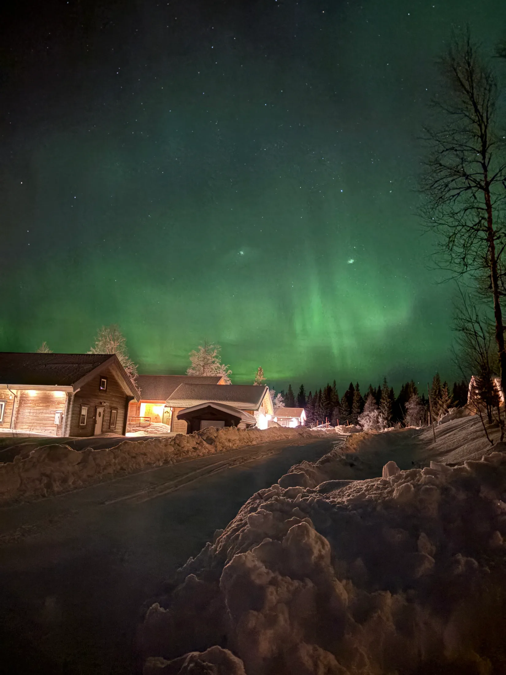 Fritidshus, Västra Borgaliden 610, Borgafjäll, Dorotea