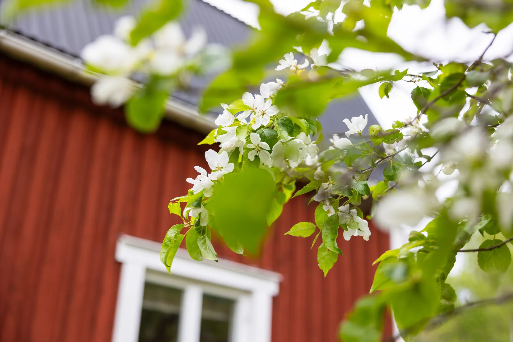 Fritidshus, Mumsarby 141, Österbybruk, Östhammar