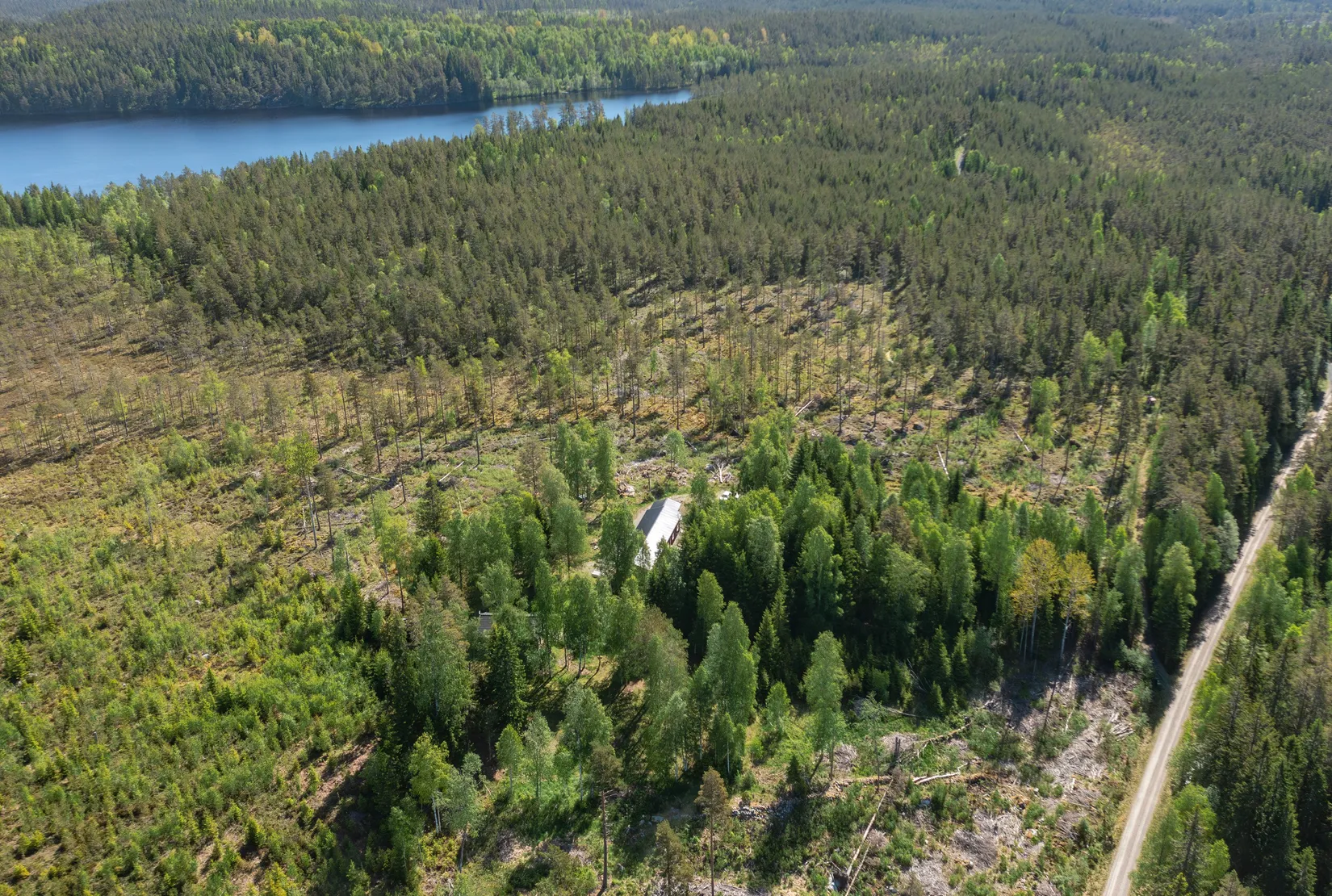Gård/Skog, Siksandshöjden 43, Siksandshöjden, Hällefors