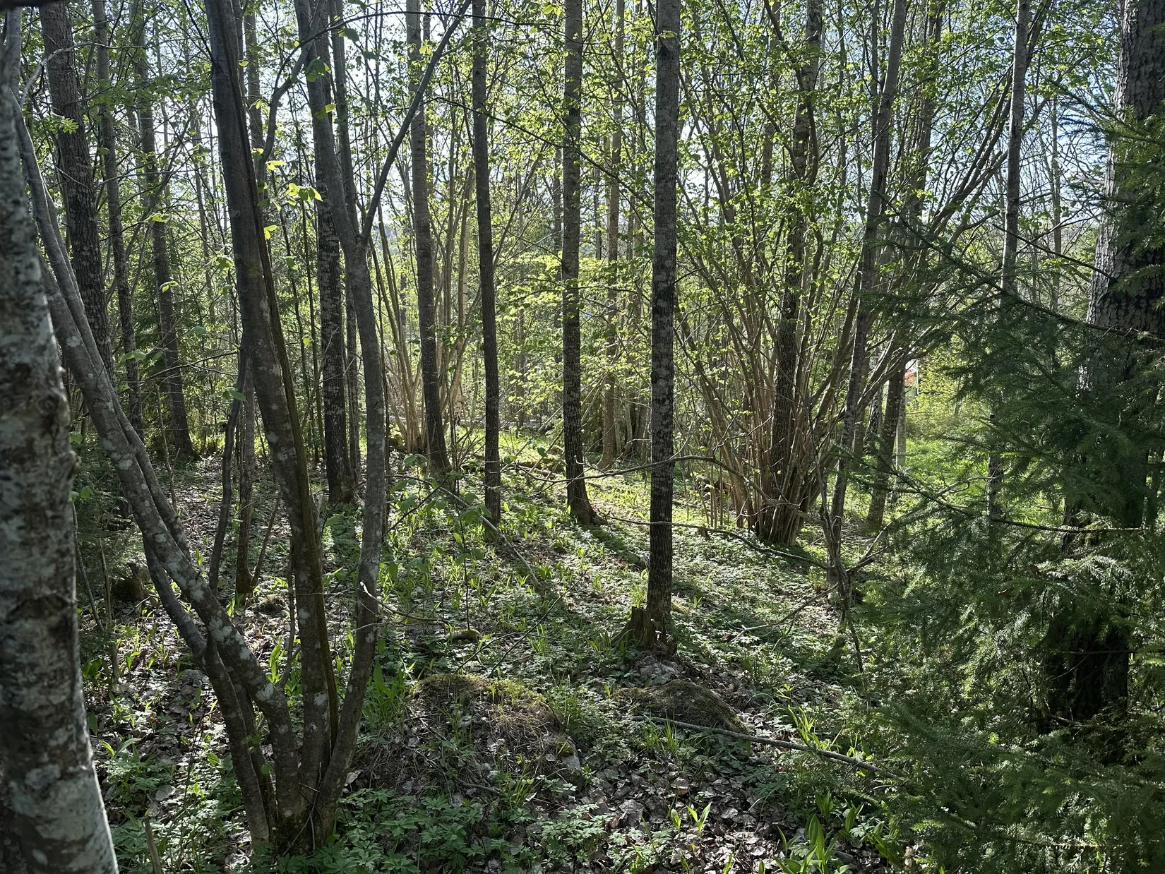 Tomt, Kårevägen 8 A, Kårsta, Vallentuna