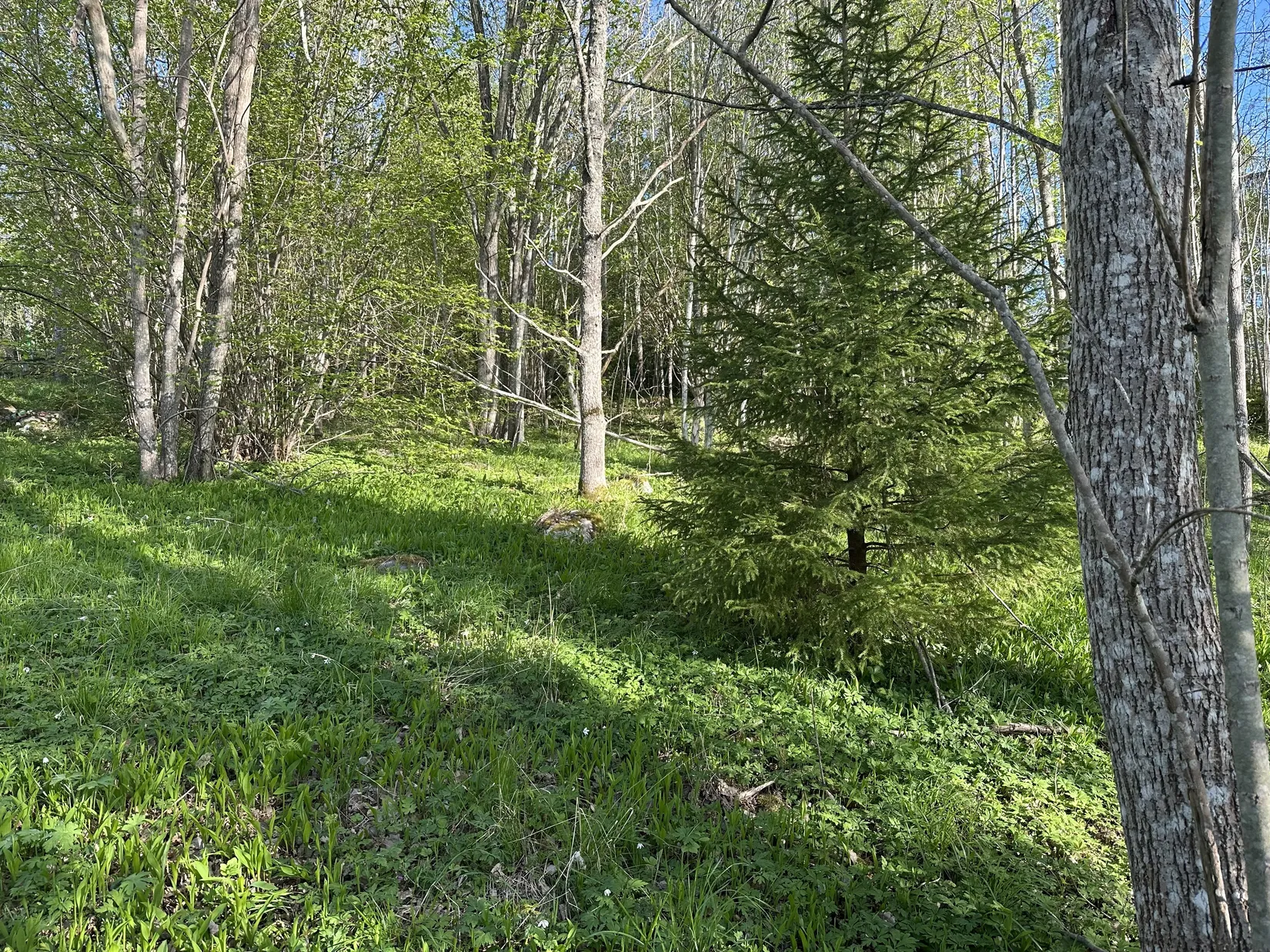 Tomt, Kårevägen 8 A, Kårsta, Vallentuna