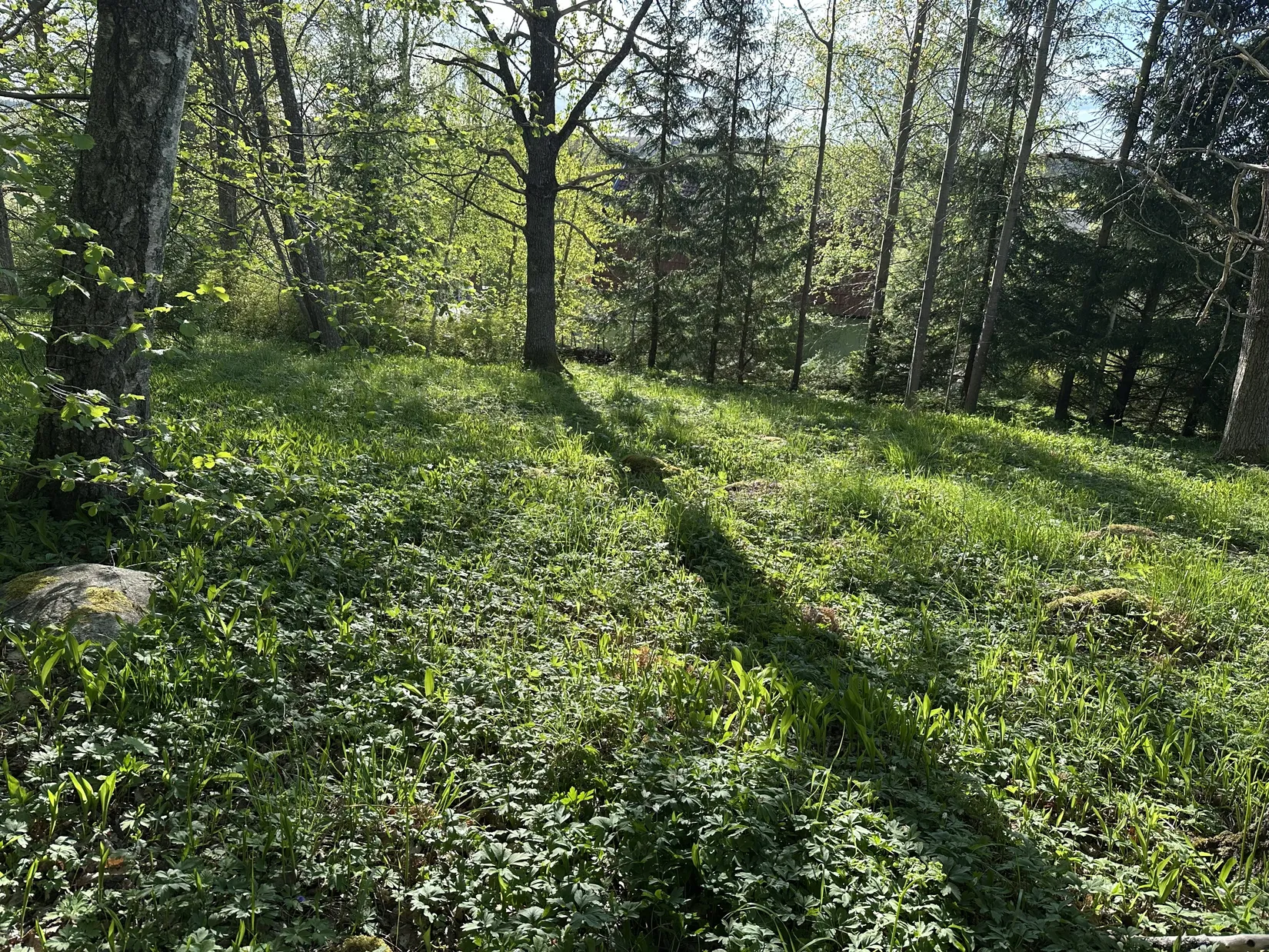 Tomt, Kårevägen 8 A, Kårsta, Vallentuna
