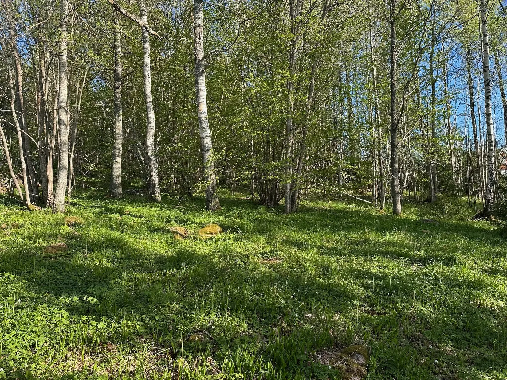 Tomt, Kårevägen 8 A, Kårsta, Vallentuna