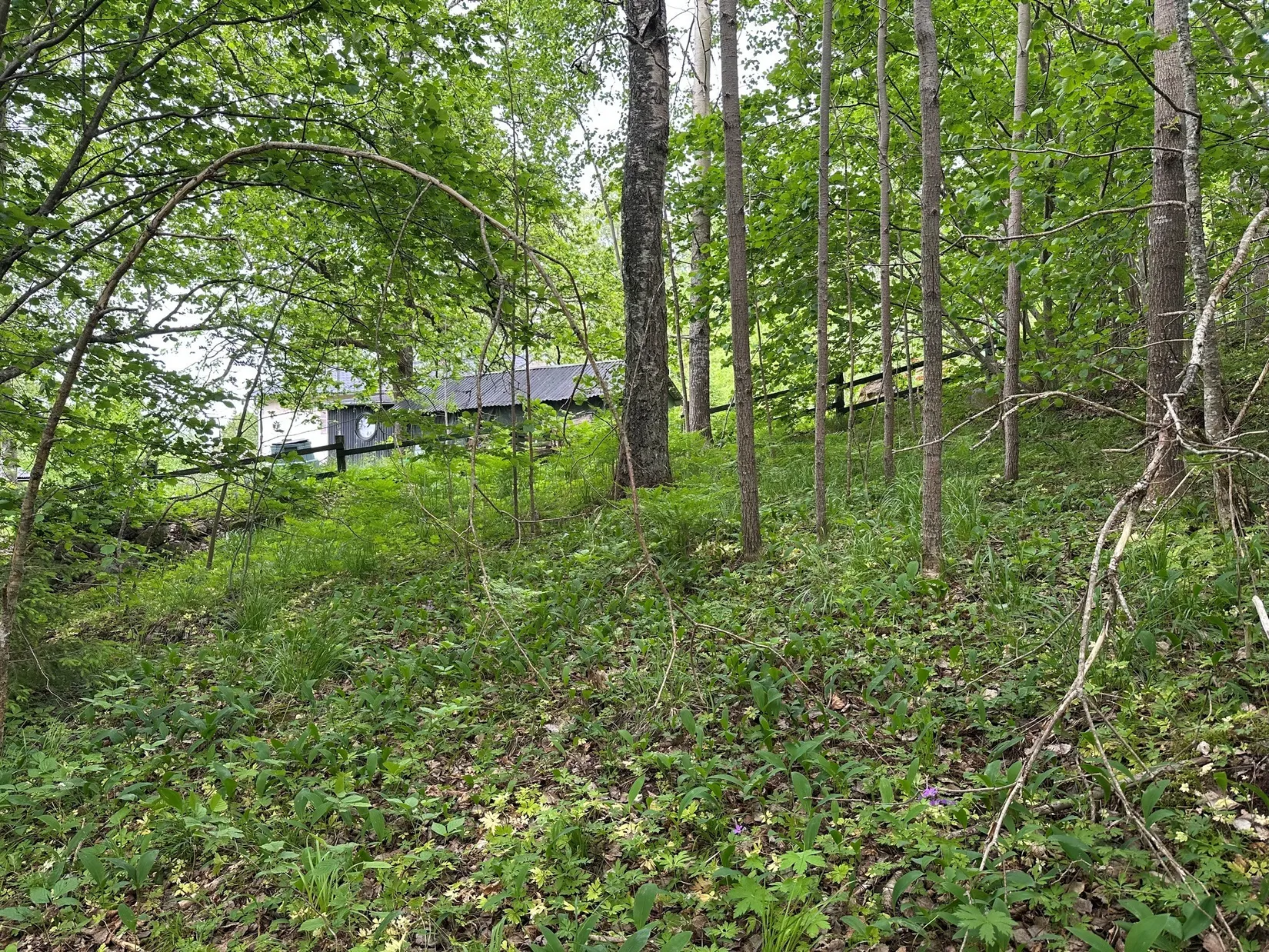 Tomt, Kårevägen 8 A, Kårsta, Vallentuna