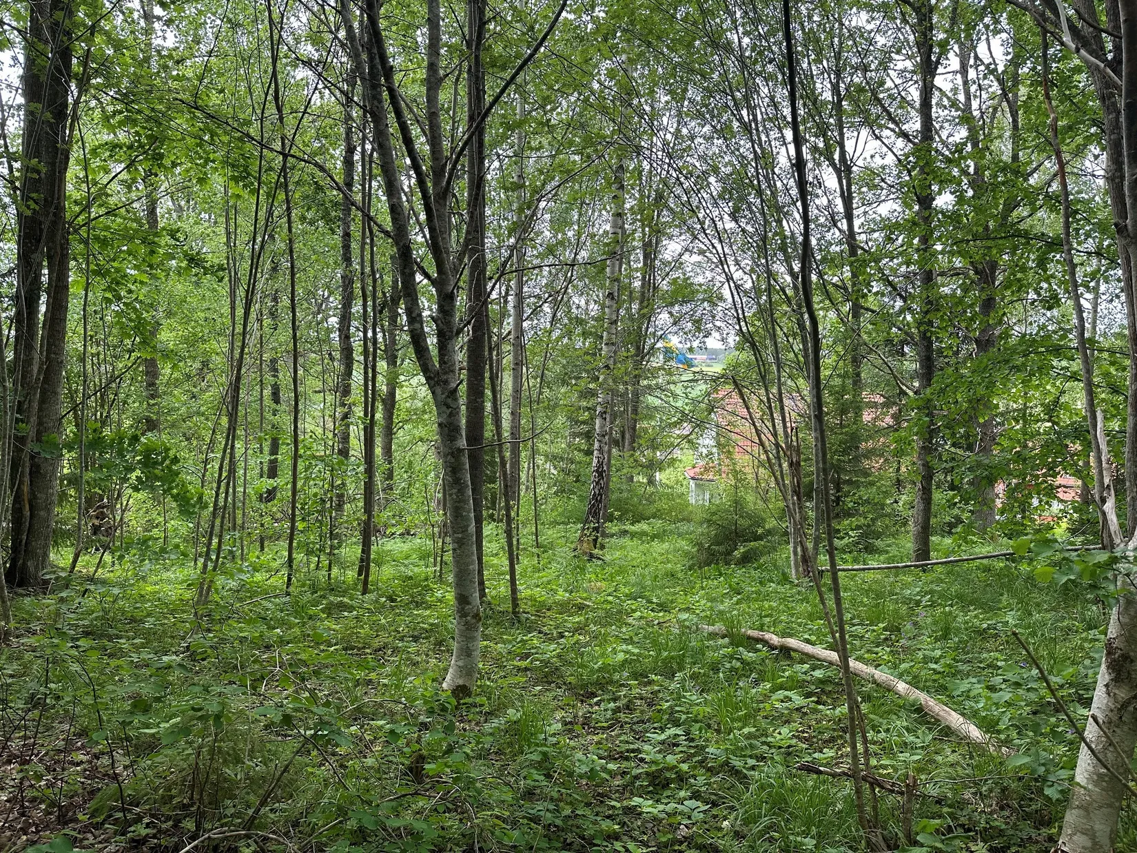 Tomt, Kårevägen 8 A, Kårsta, Vallentuna
