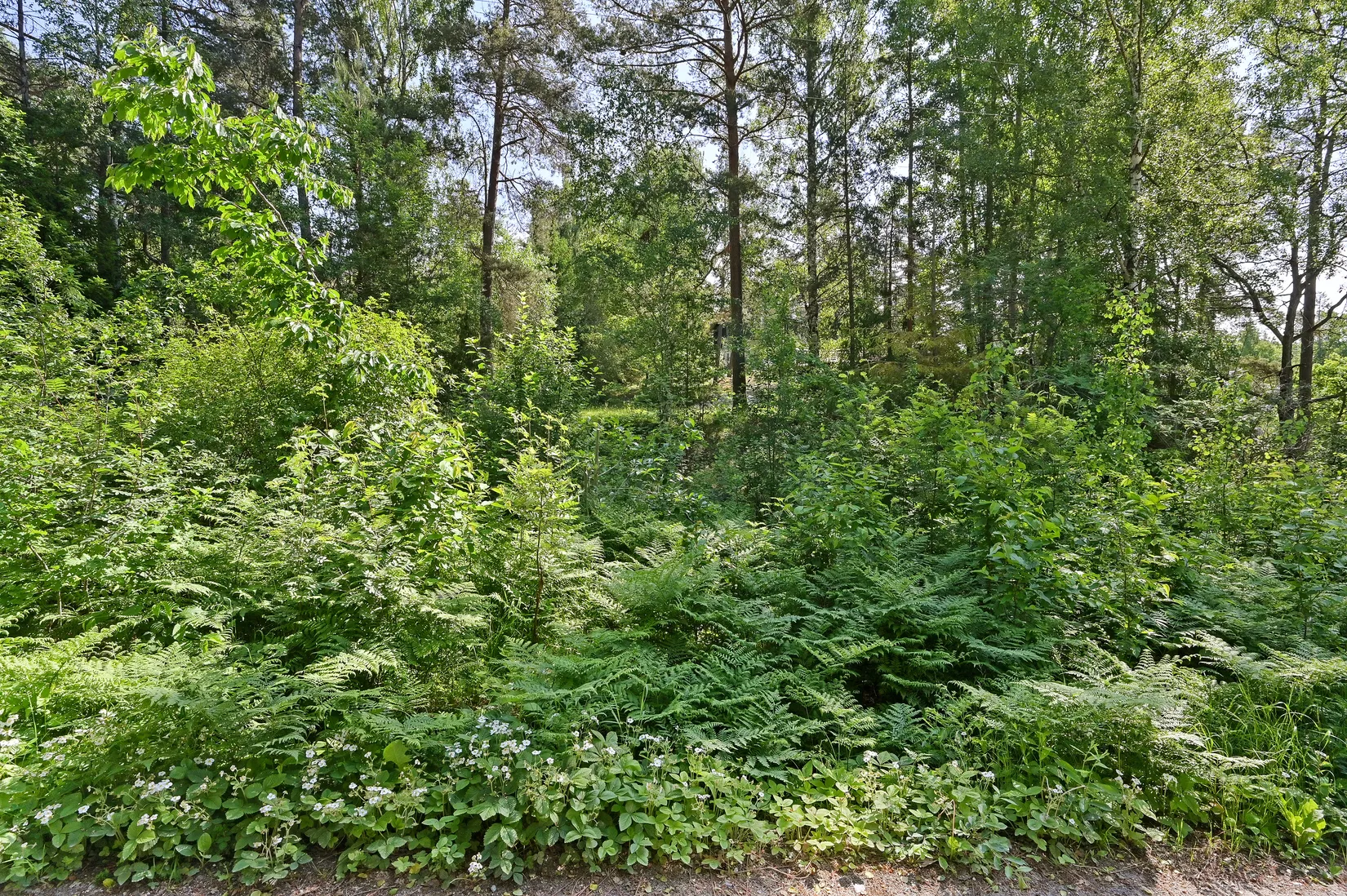 Fritidshus, Rödbergsvägen 5, Munsö, Ekerö