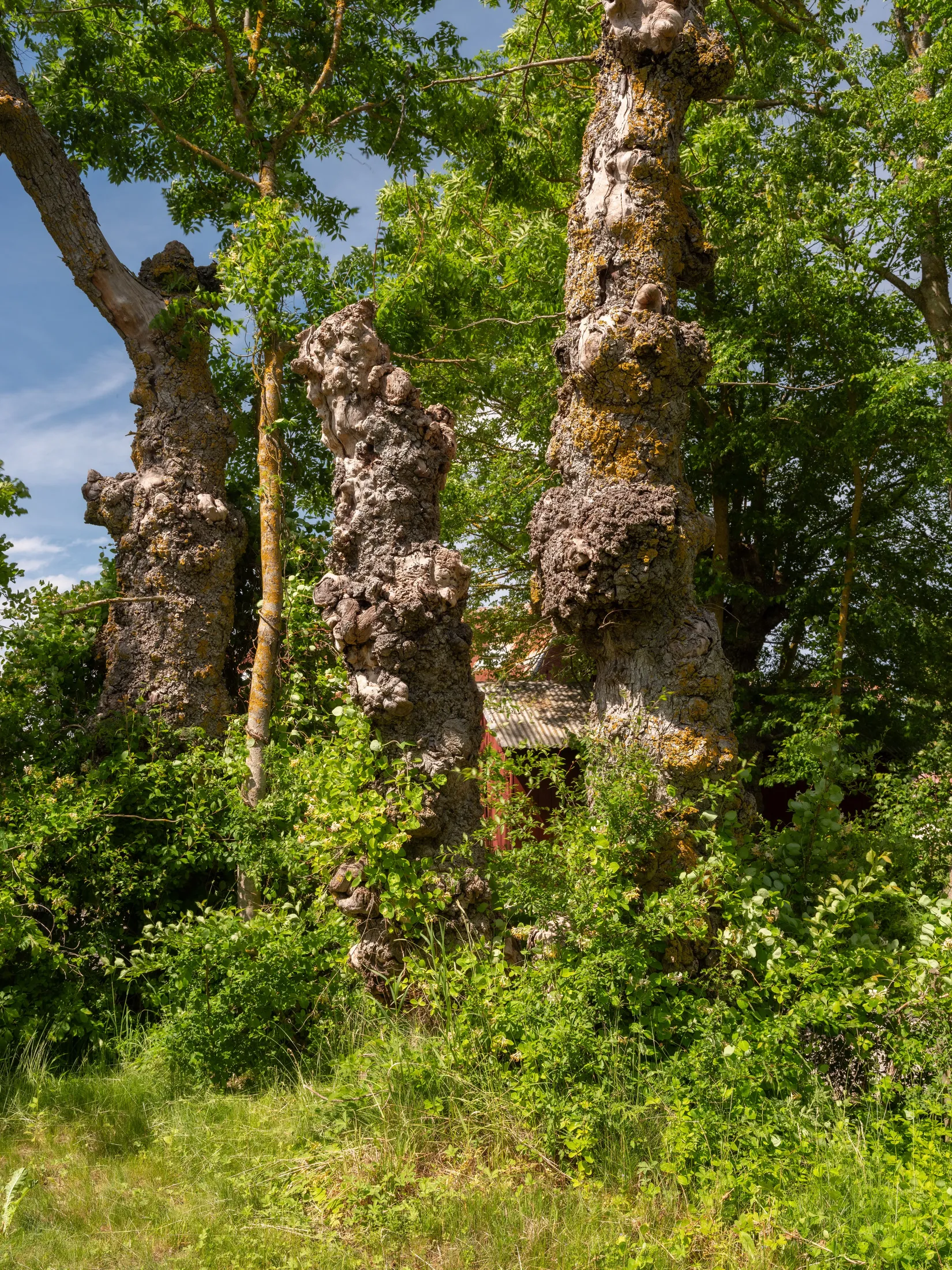 Fritidshus, Akebäck Smiss 135, Akebäck, Gotland