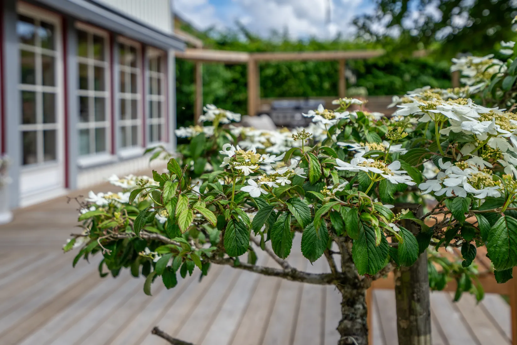 Villa, Gamla Läckövägen 74, Stenhammar, Lidköping