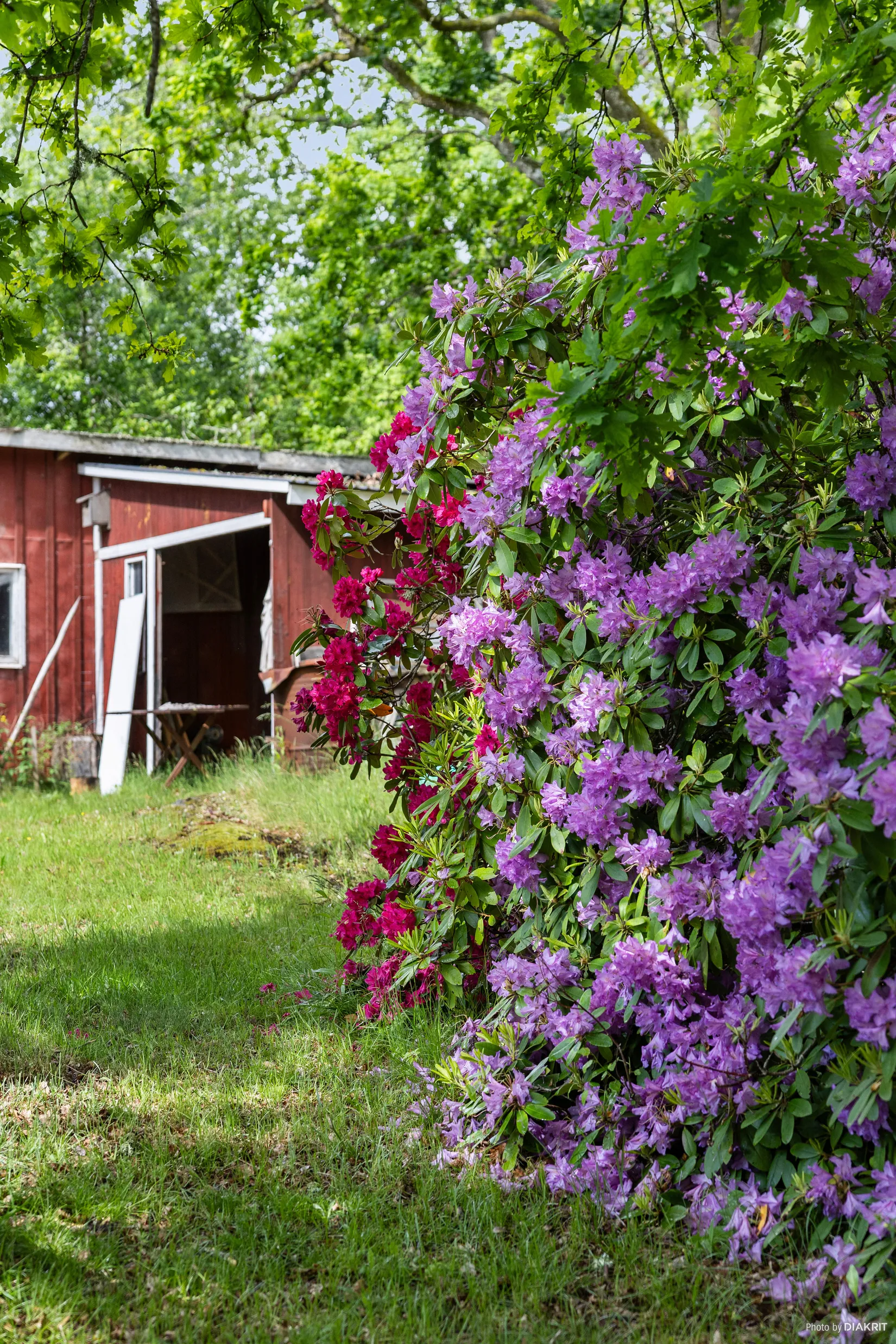 Villa, Fåglum Holmen 608, Fåglum, Essunga