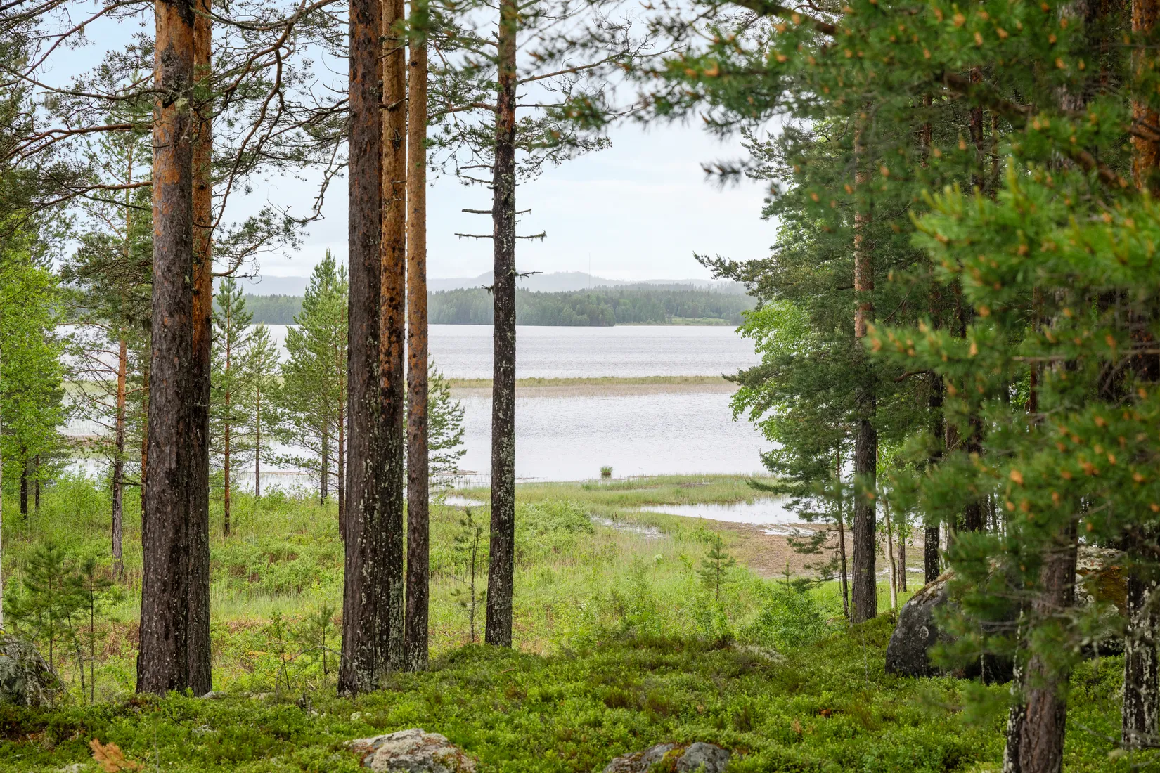 Fritidshus, Ön 370, Överturingen, Ånge