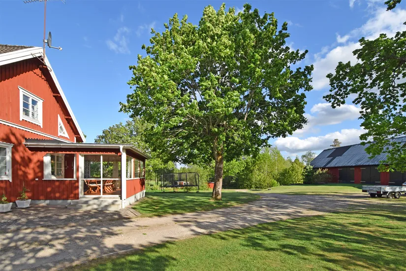 Gård/Skog, Fotabol 25, Småland, Älmhult