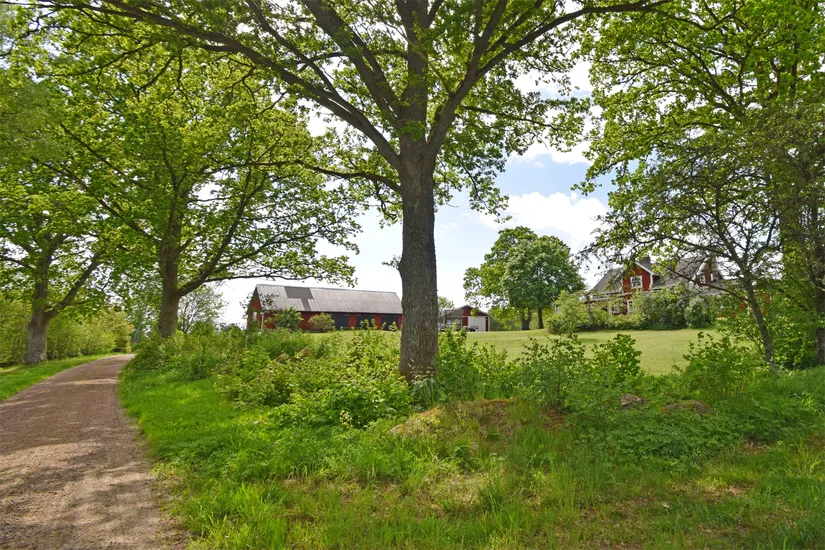 Gård/Skog, Fotabol 25, Småland, Älmhult