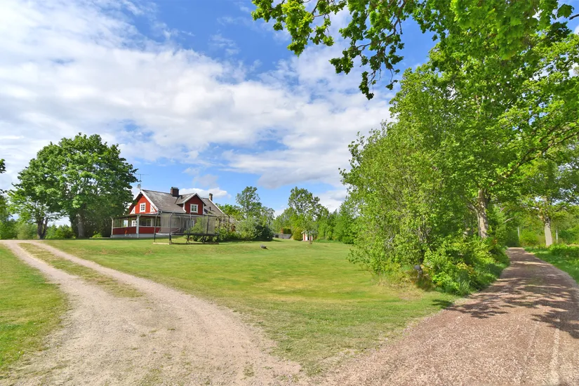 Gård/Skog, Fotabol 25, Småland, Älmhult