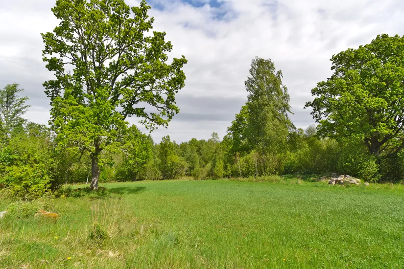 Gård/Skog, Fotabol 25, Småland, Älmhult