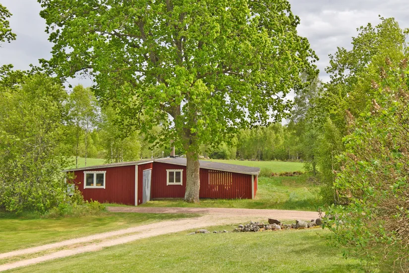 Gård/Skog, Fotabol 25, Småland, Älmhult