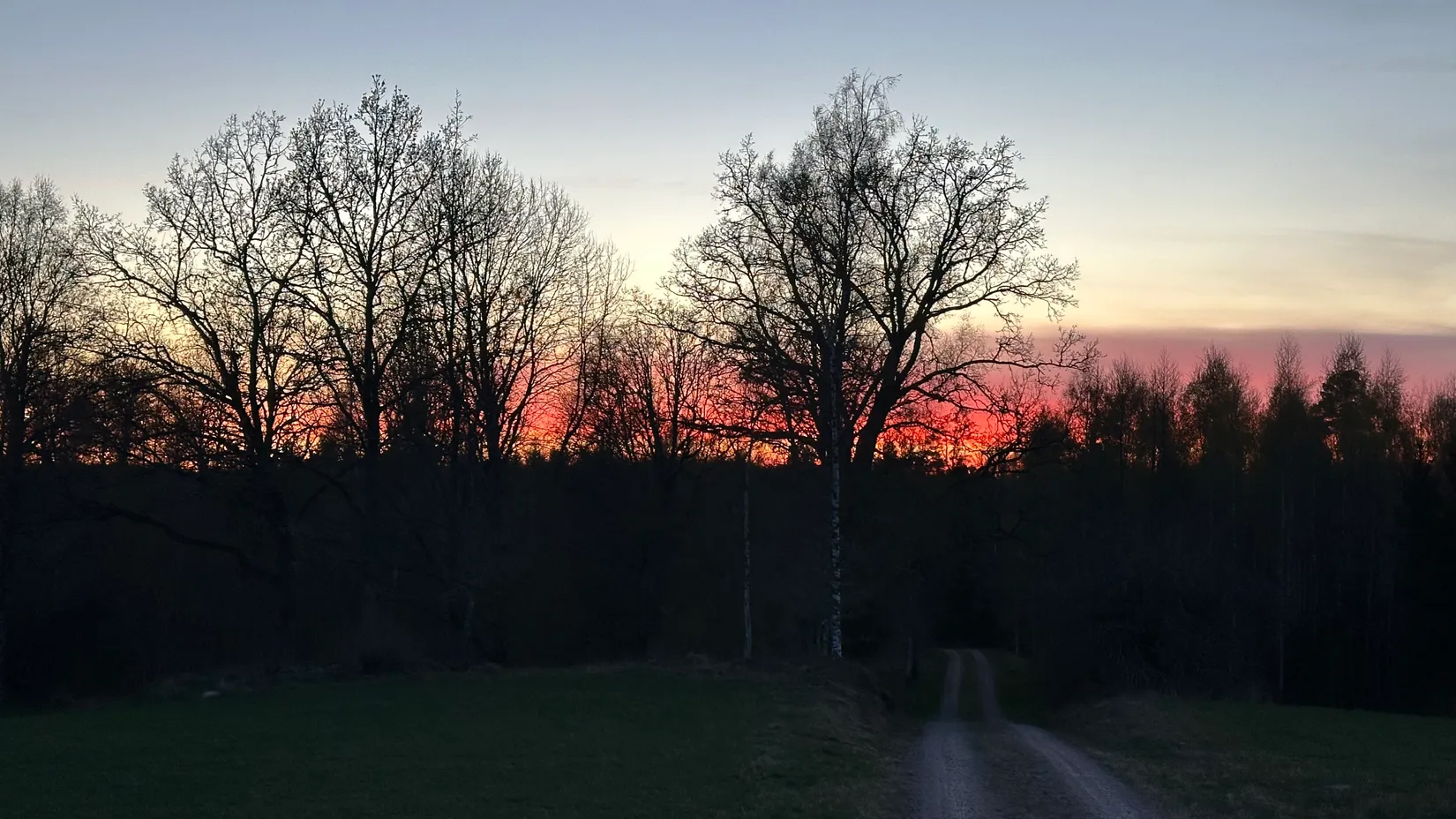 Gård/Skog, Fotabol 25, Småland, Älmhult