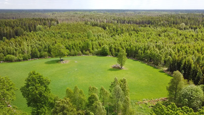 Gård/Skog, Fotabol 25, Småland, Älmhult