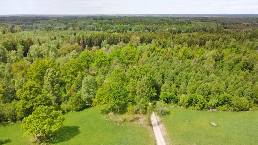 Gård/Skog, Fotabol 25, Småland, Älmhult