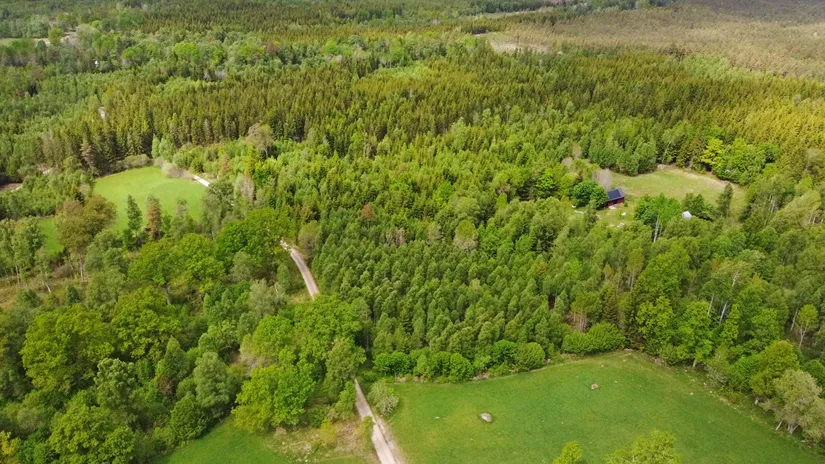 Gård/Skog, Fotabol 25, Småland, Älmhult
