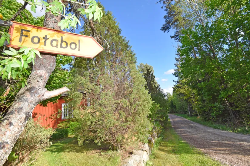 Gård/Skog, Fotabol 25, Småland, Älmhult