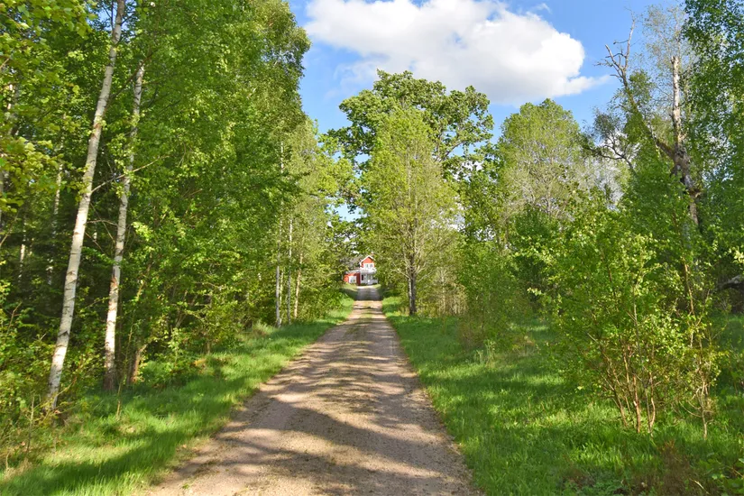 Gård/Skog, Fotabol 25, Småland, Älmhult