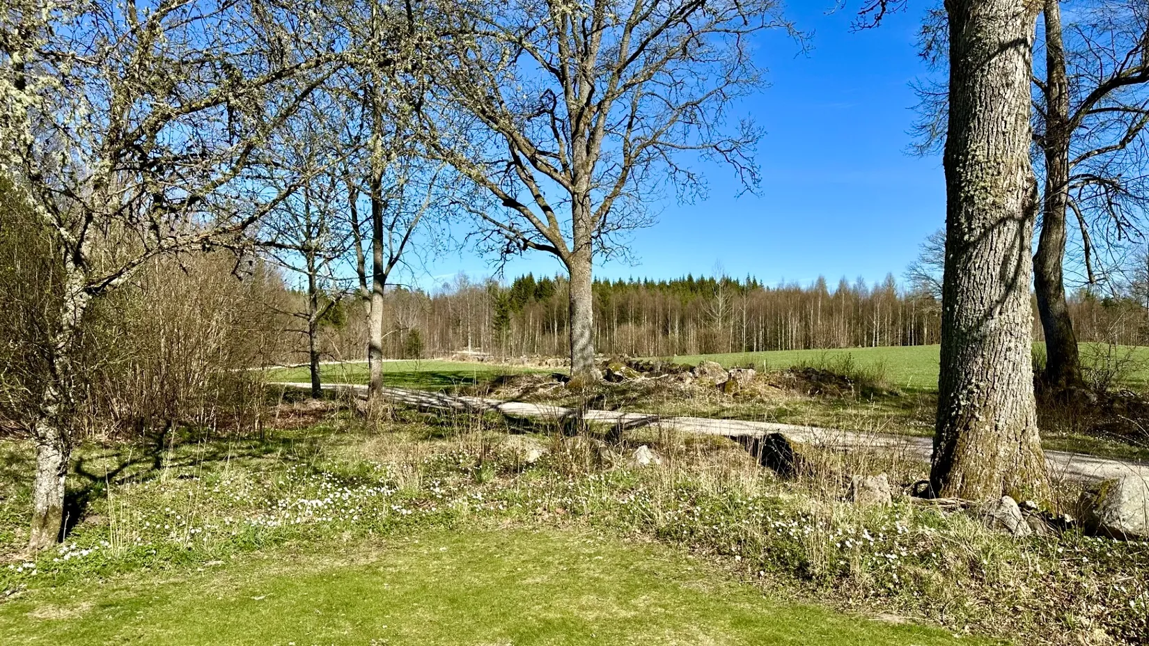 Gård/Skog, Fotabol 25, Småland, Älmhult