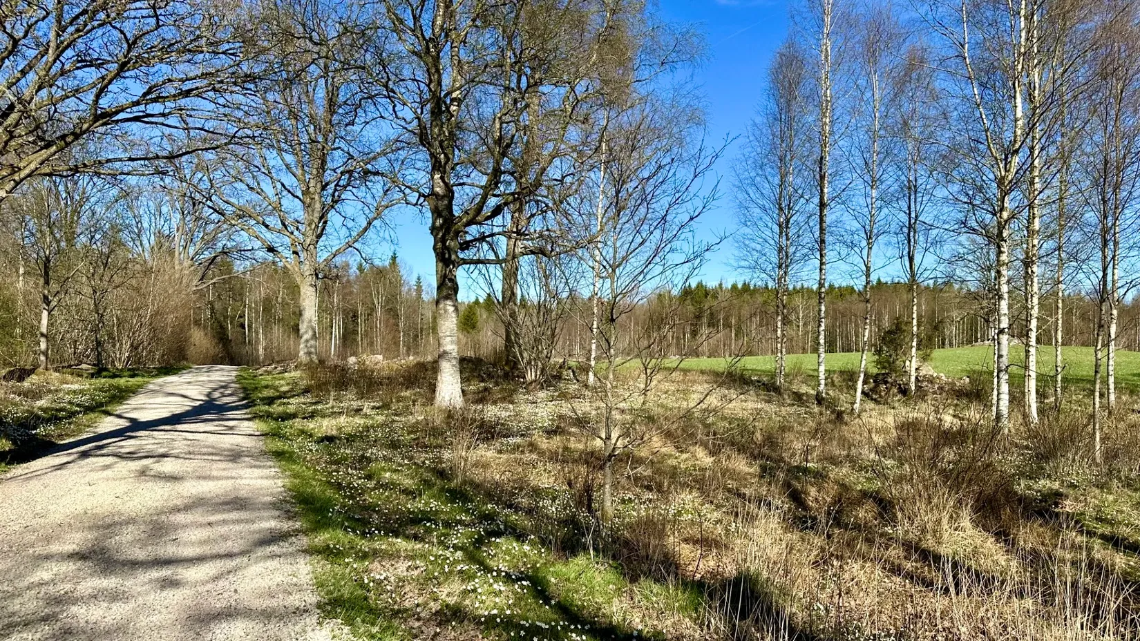 Gård/Skog, Fotabol 25, Småland, Älmhult