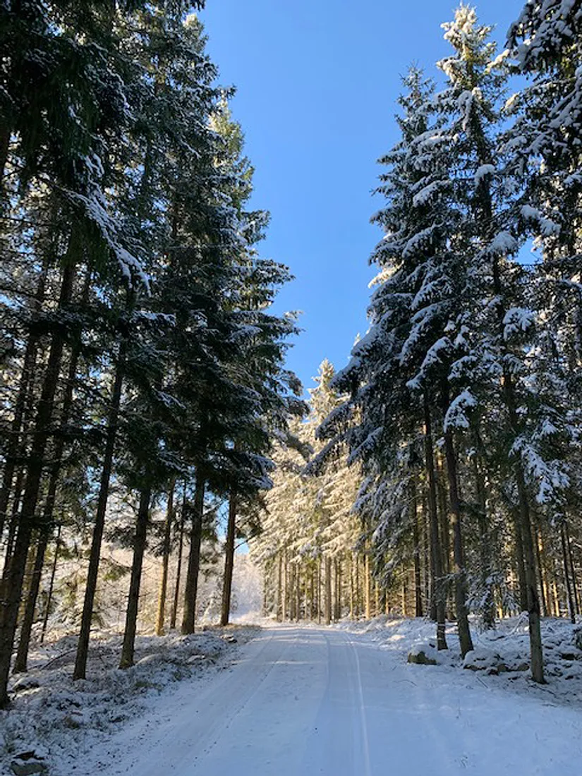Gård/Skog, Fotabol 25, Småland, Älmhult