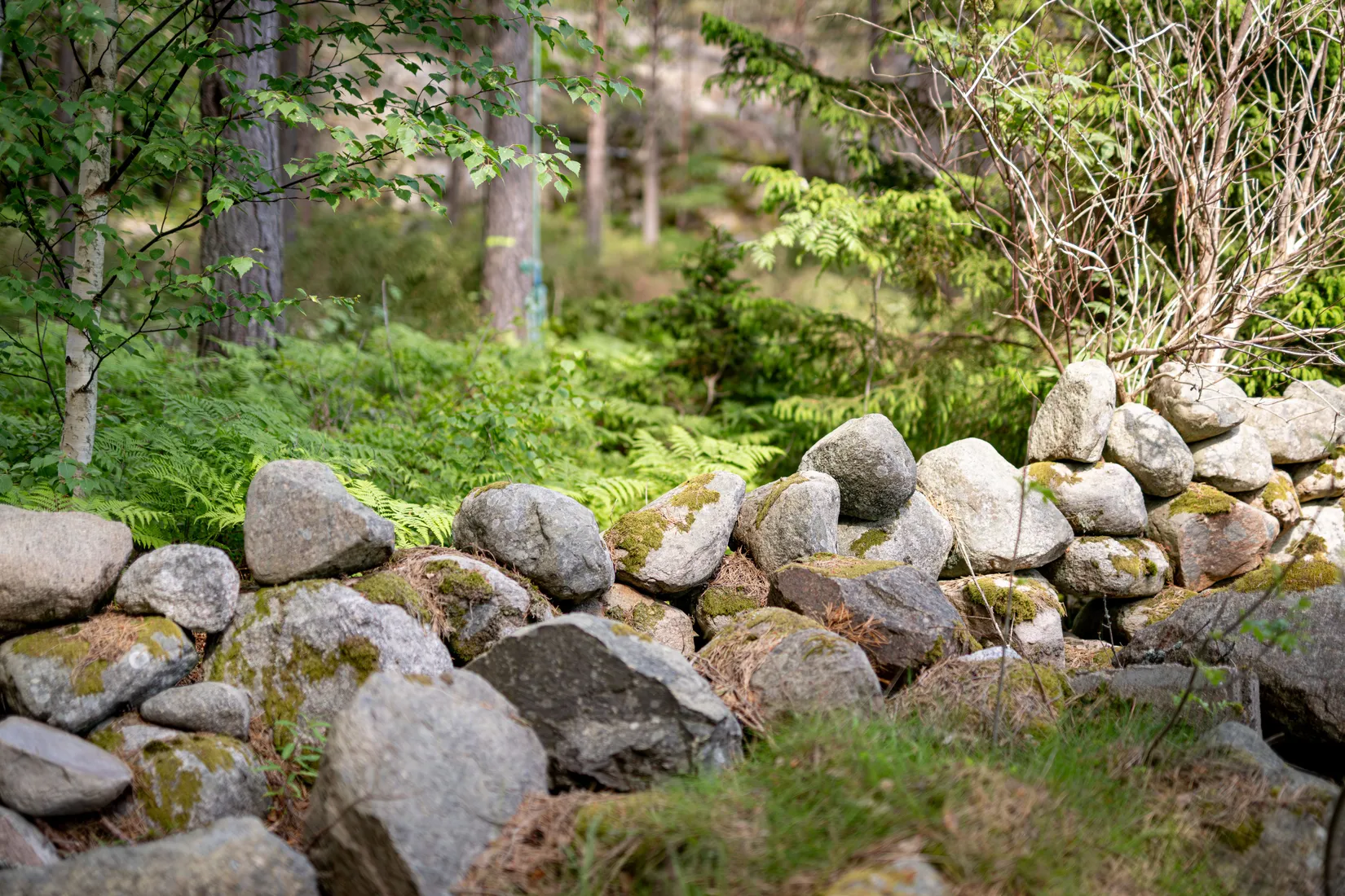 Tomt, Galtö Södra, g, Tanum