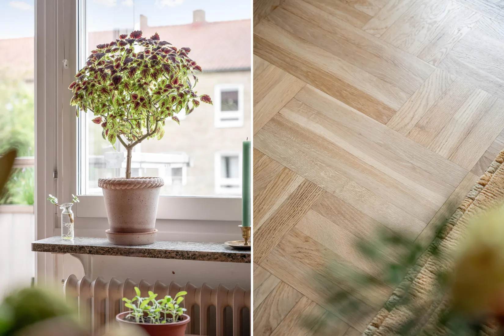 Bostadsrätt, Måsvägen 8A, Väster, Lund