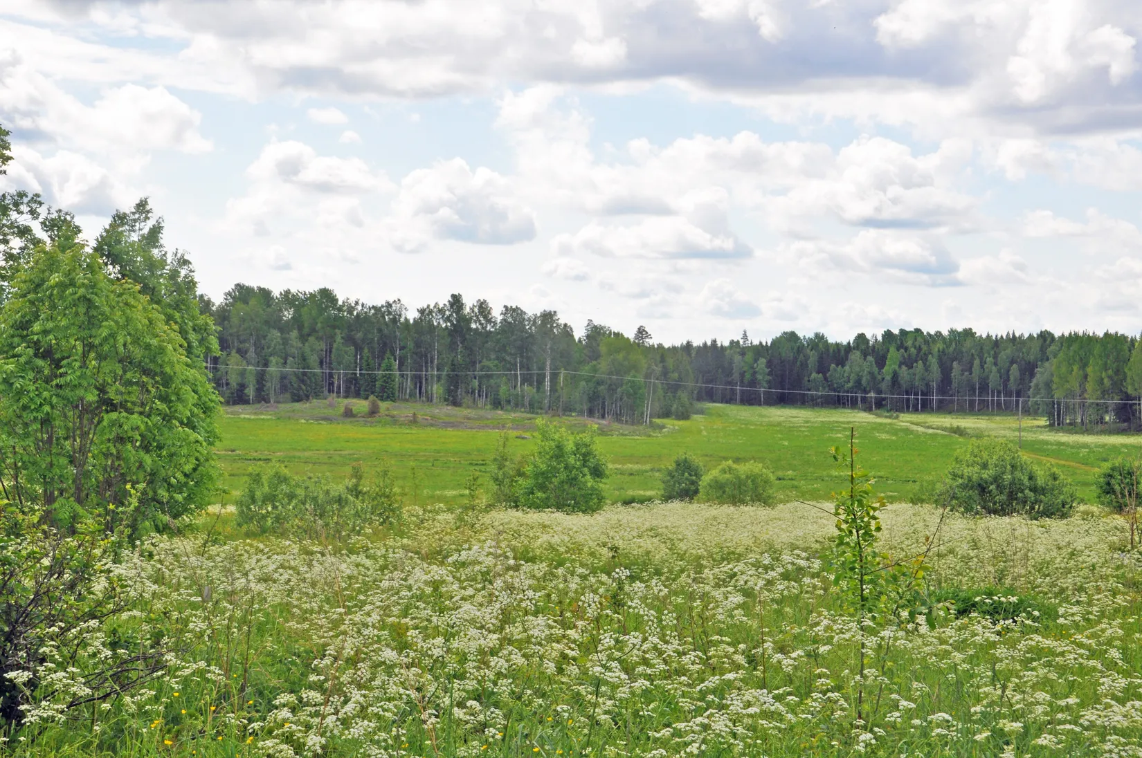 Gård/Skog, Bår 110, Bår, Sala
