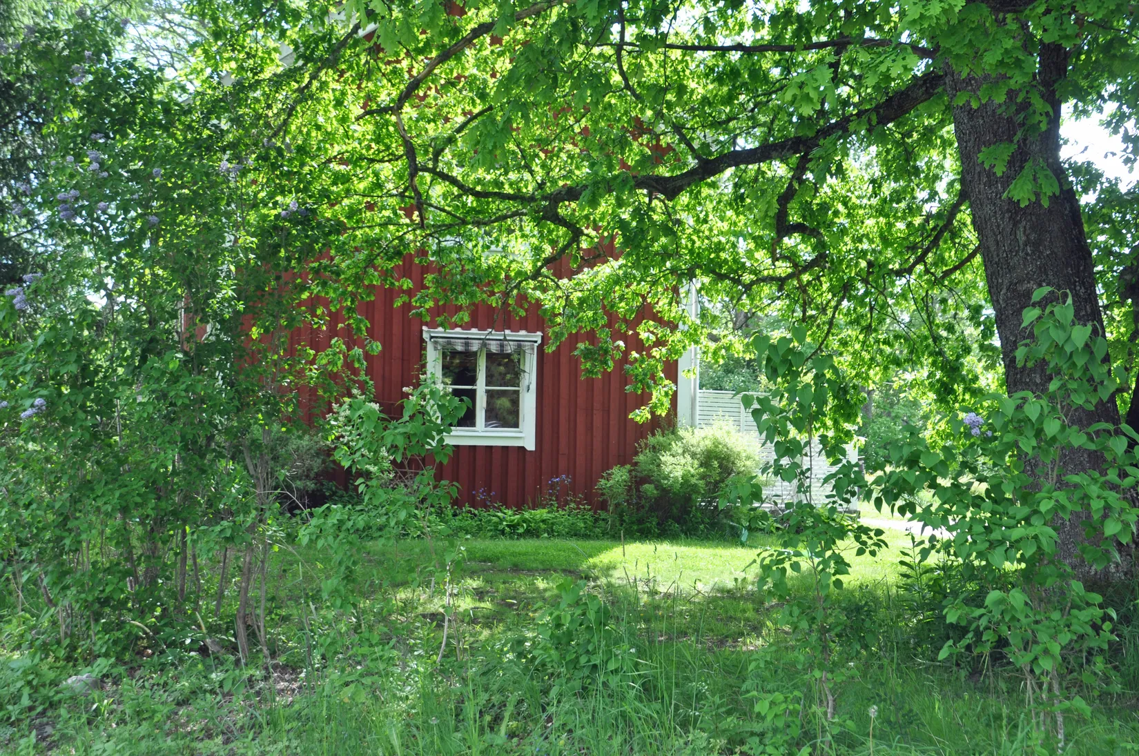 Gård/Skog, Bår 110, Bår, Sala
