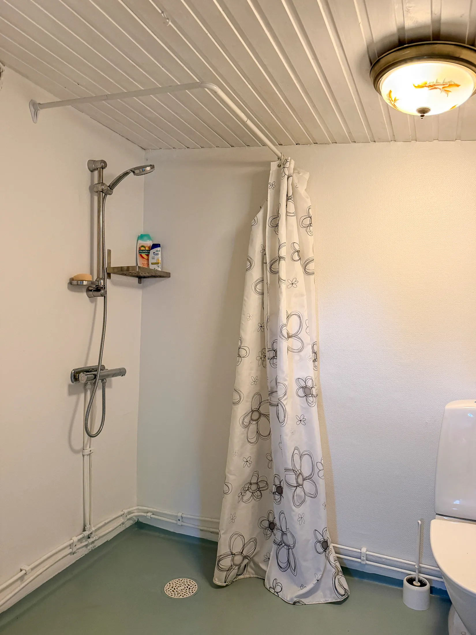 Villa, Storholmen 1, Vilhelmina
