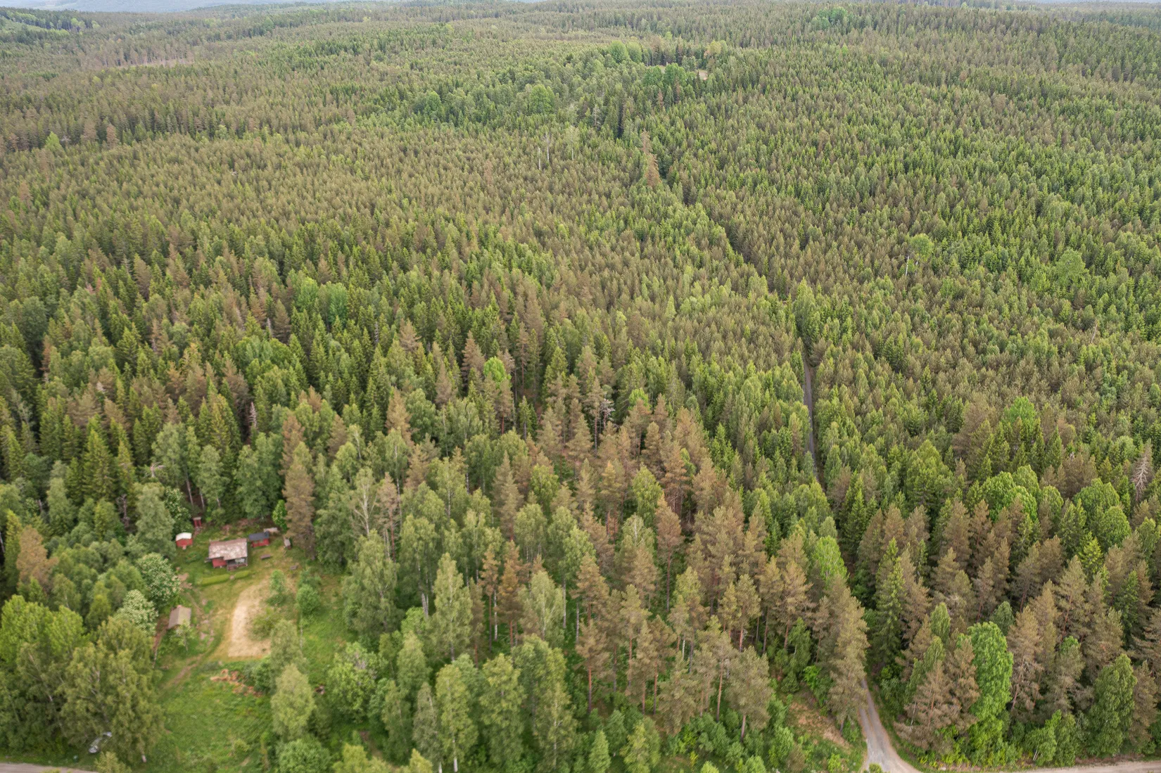 Gård/Skog, Lindesby 560, Järnboås, Nora
