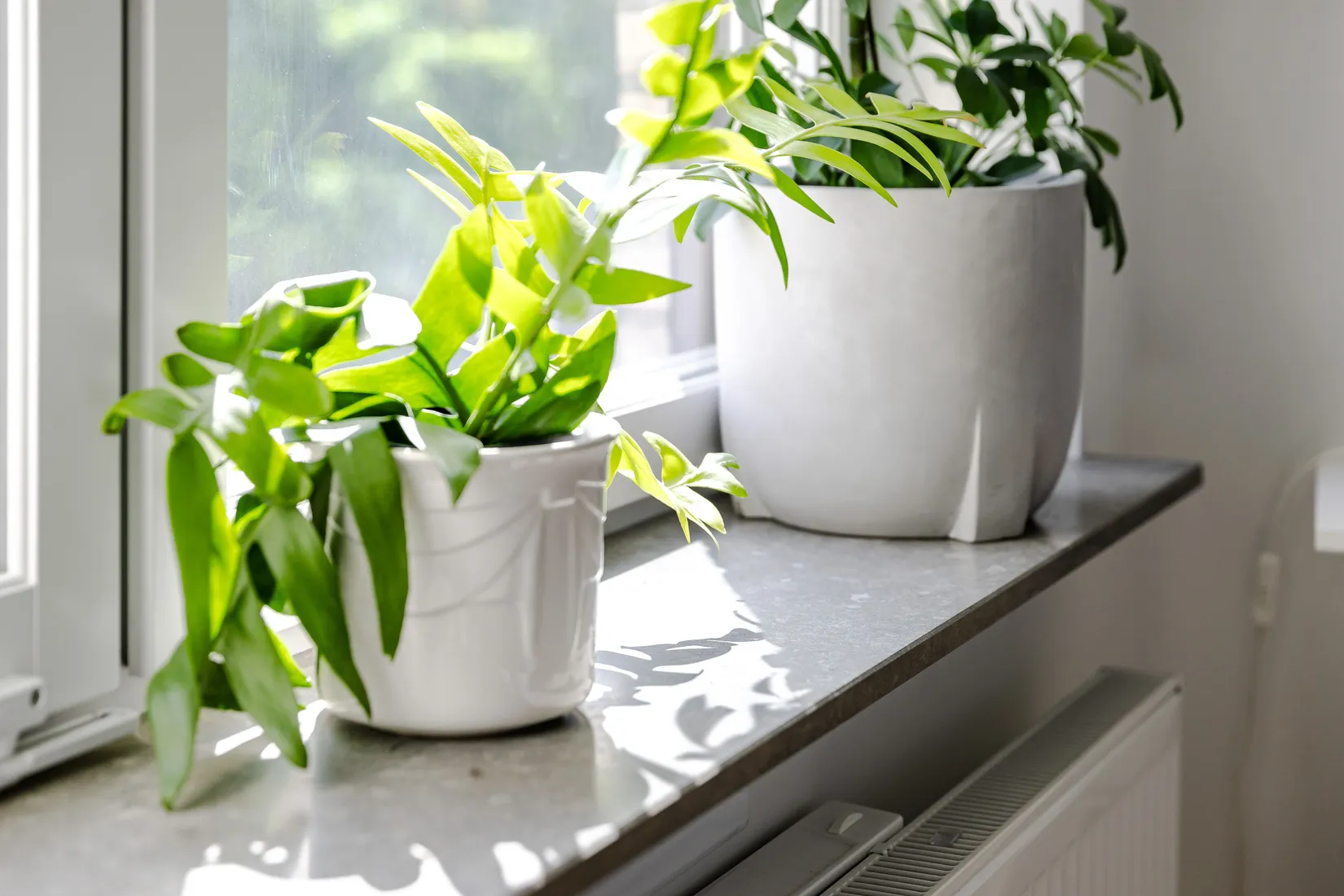 Bostadsrätt, Fridtunagatan 10, Valla/Centralt, Linköping