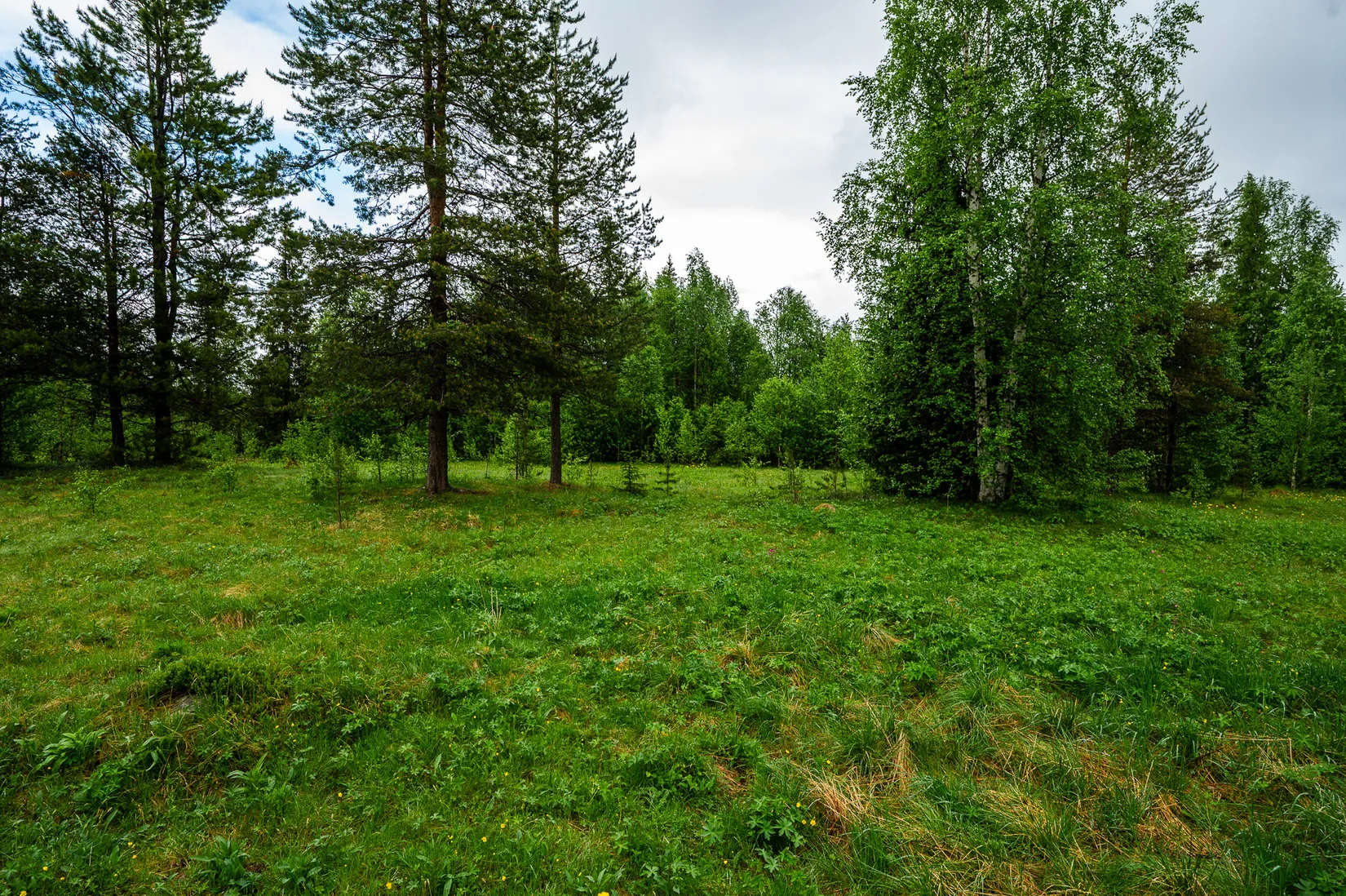 Fritidshus, Kilvokielinen 6, Kilvokielinen, Gällivare