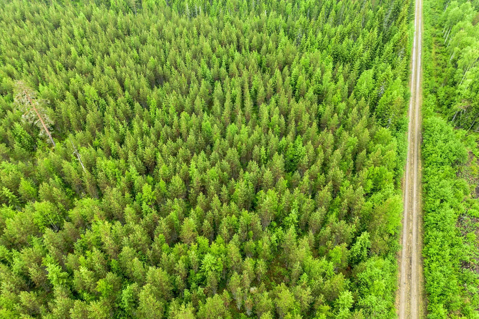 Gård/Skog, Örnsköldsvik Norrgissjö 3:5, Norrgissjö, Örnsköldsvik