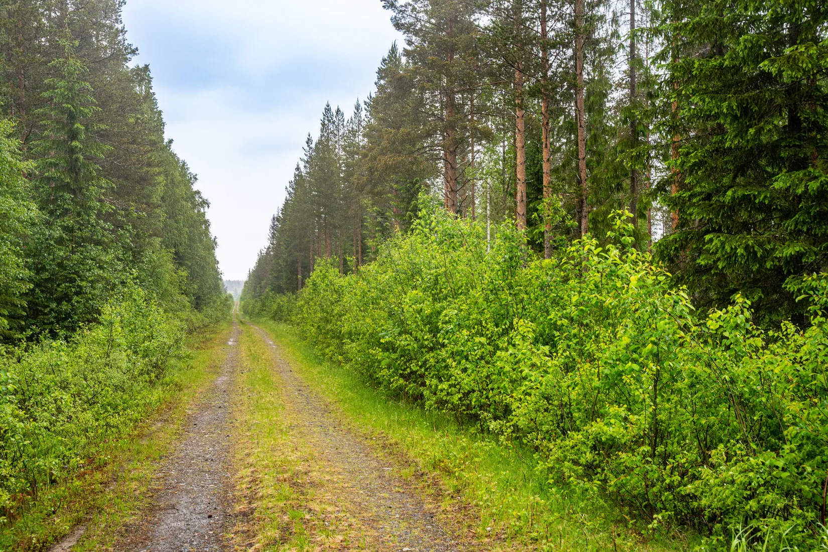 Gård/Skog, Örnsköldsvik Norrgissjö 3:5, Norrgissjö, Örnsköldsvik