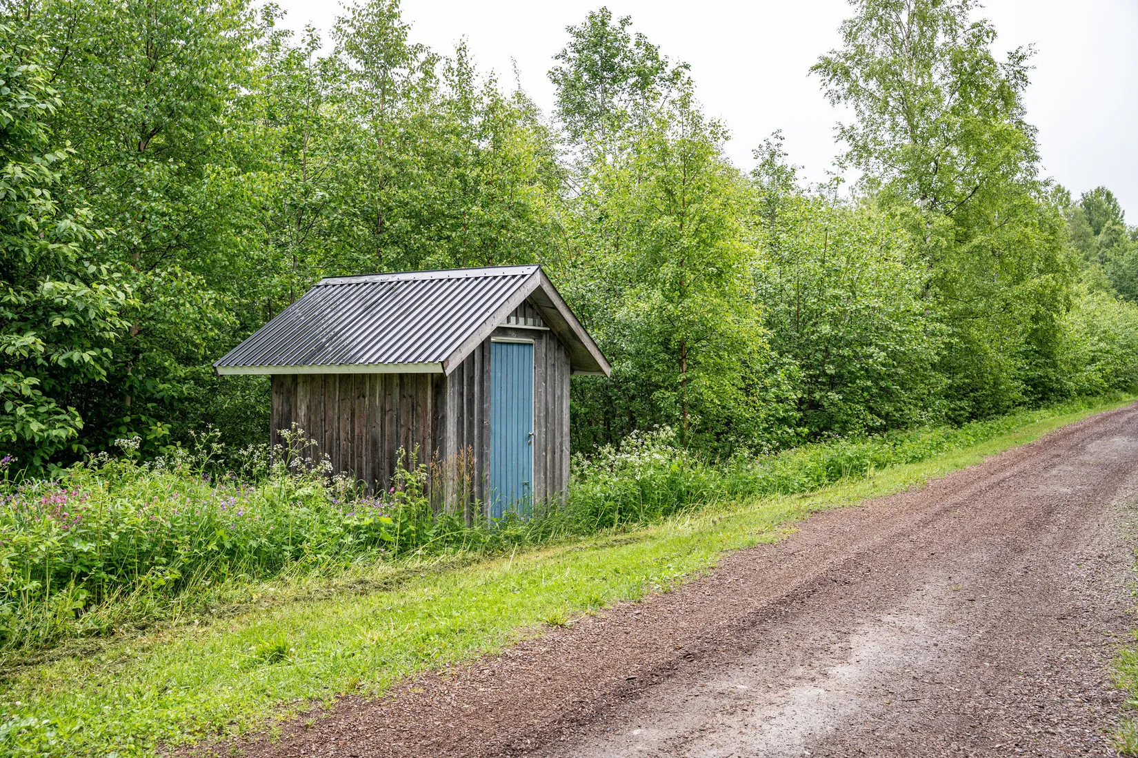 Gård/Skog, Örnsköldsvik Norrgissjö 17:1, Norrgissjö, Örnsköldsvik