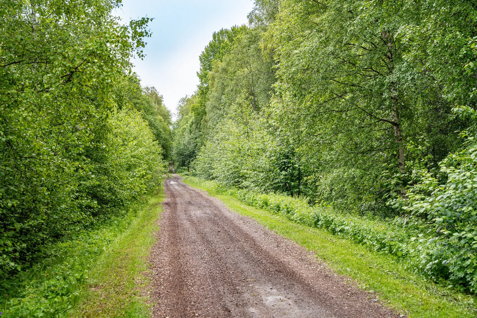 Gård/Skog, Örnsköldsvik Norrgissjö 17:1, Norrgissjö, Örnsköldsvik
