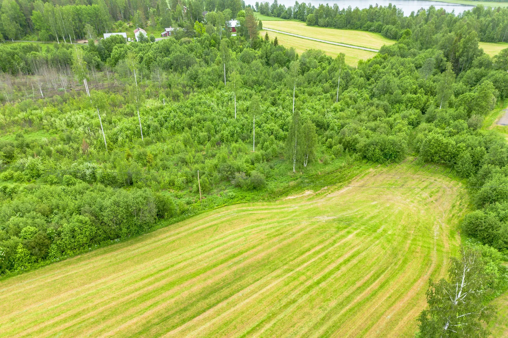 Gård/Skog, Örnsköldsvik Norrgissjö 17:1, Norrgissjö, Örnsköldsvik