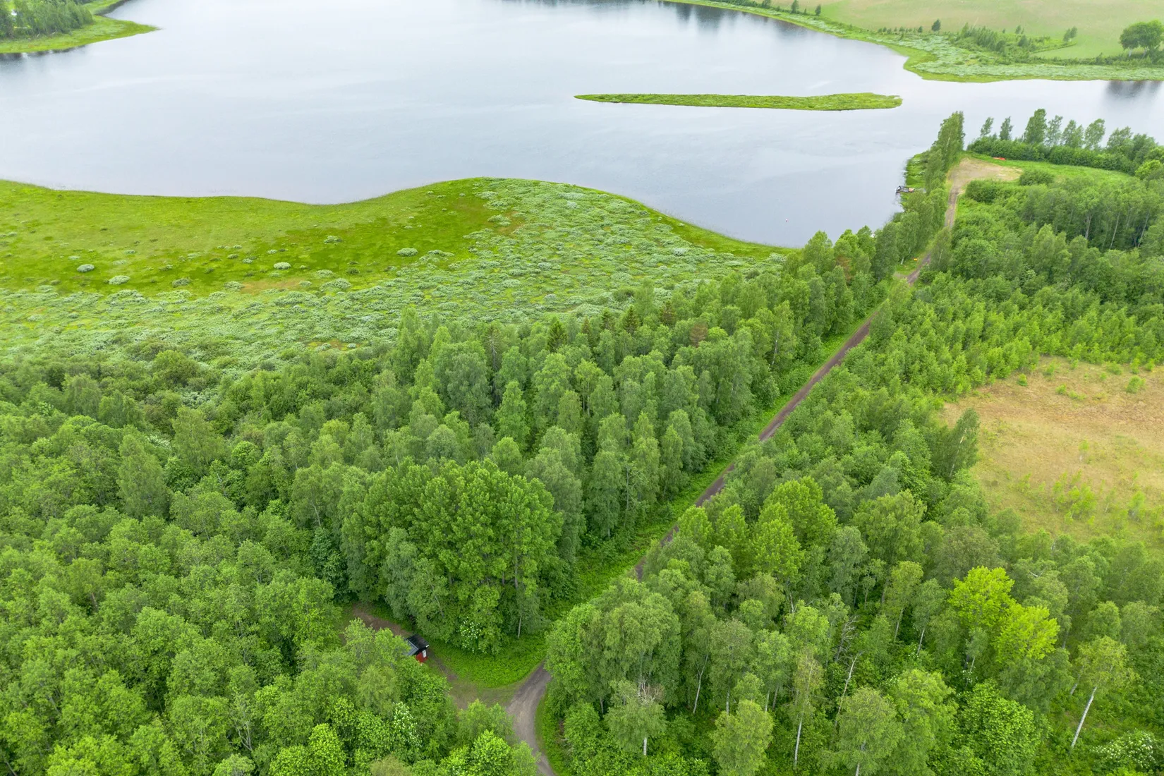 Gård/Skog, Örnsköldsvik Norrgissjö 17:1, Norrgissjö, Örnsköldsvik