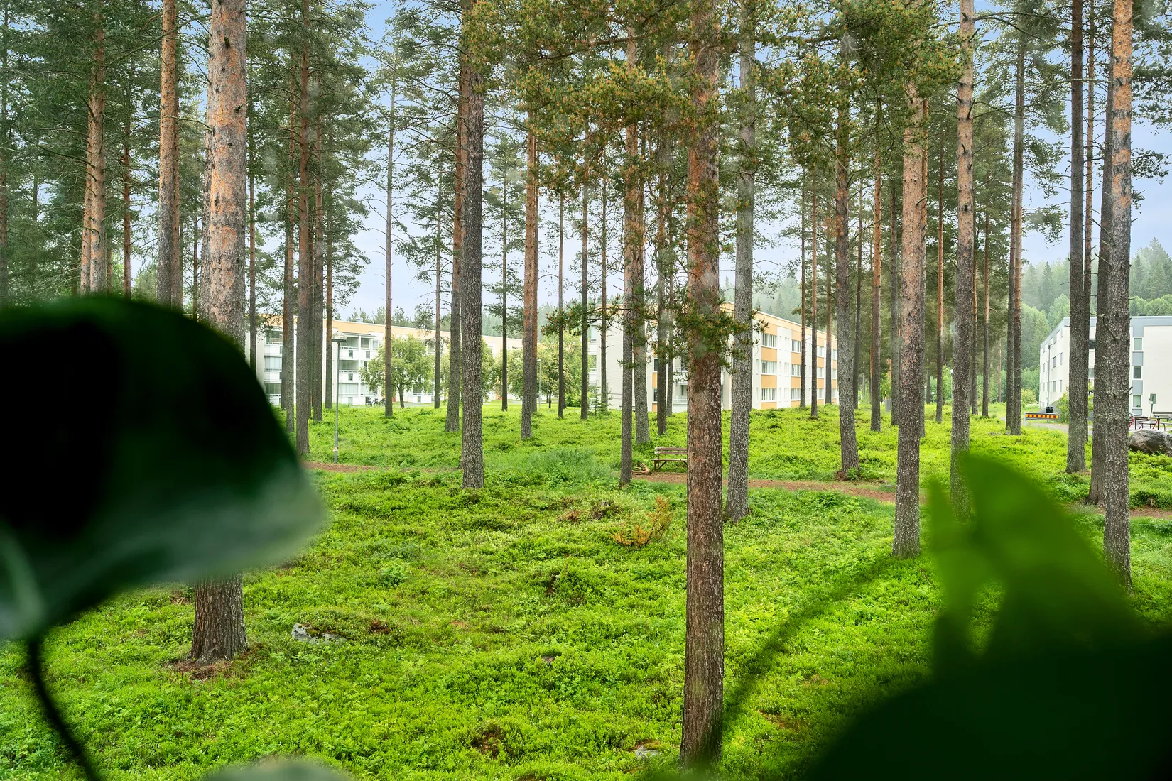 Bostadsrätt, Dirigentvägen 40, Sjungande dalen, Skellefteå