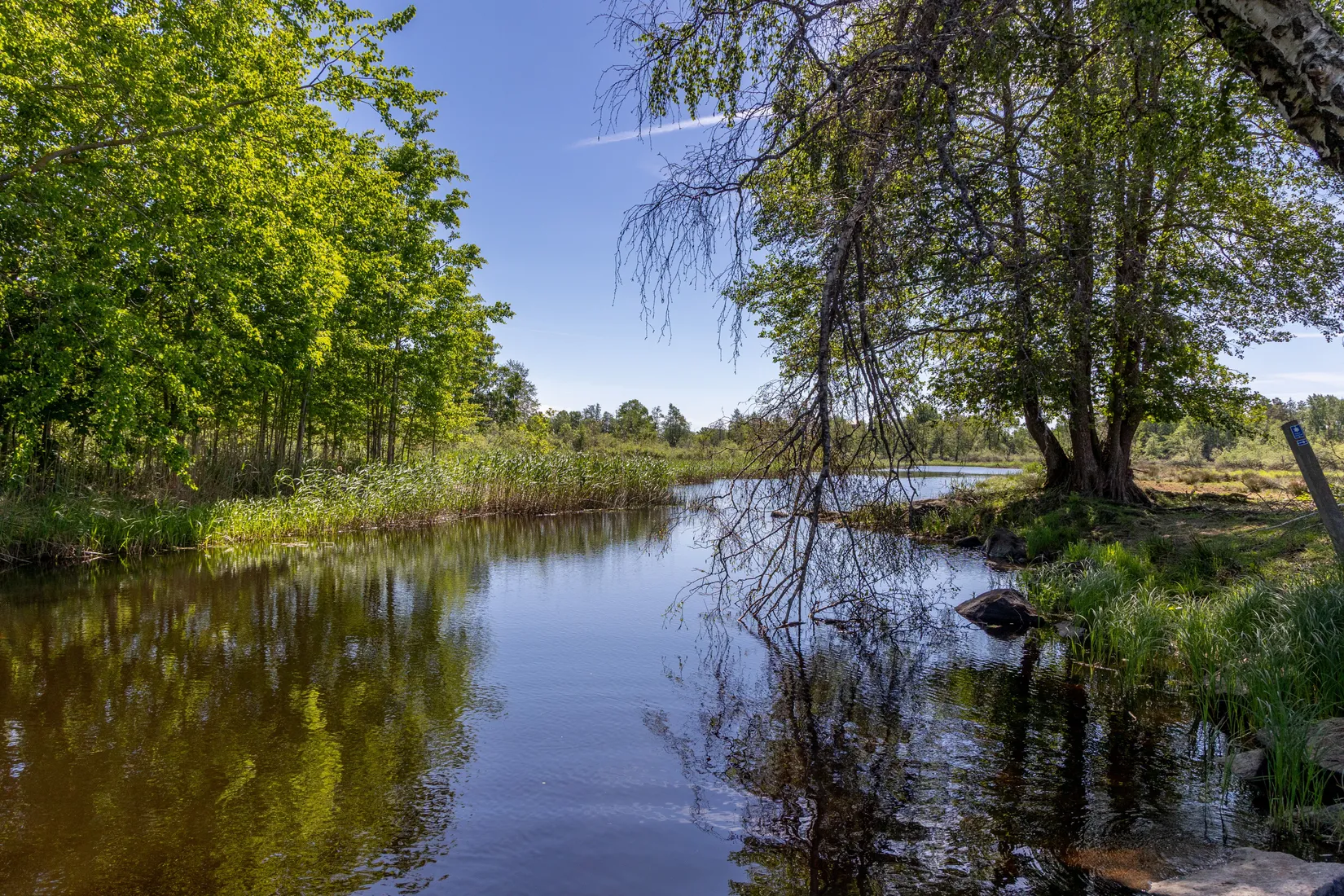 Villa, Villan Emsnäs, Skruvshult, Mönsterås
