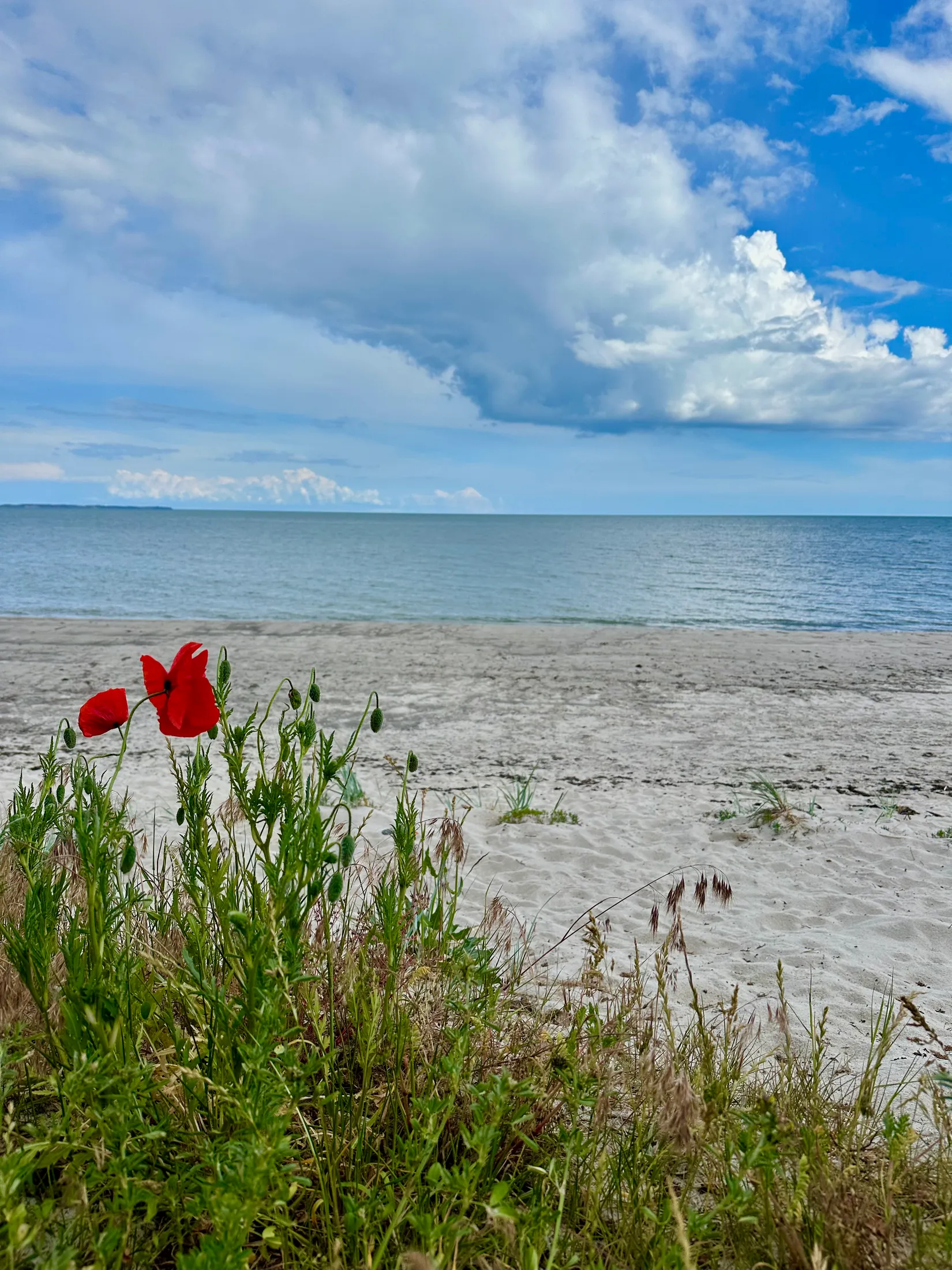 Fritidshus, Badhytt S48, Sandskogen, Ystad